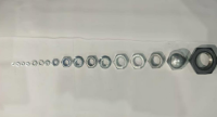 Nuts (Internal Thread, Mated with Bolts